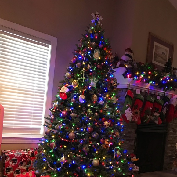 Meet your Posher, Melissa - Picture 2 of 5